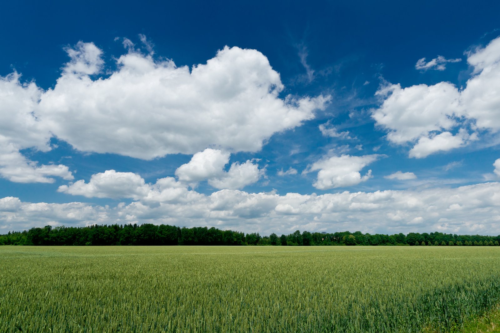 an image of grass field with sky and clouds