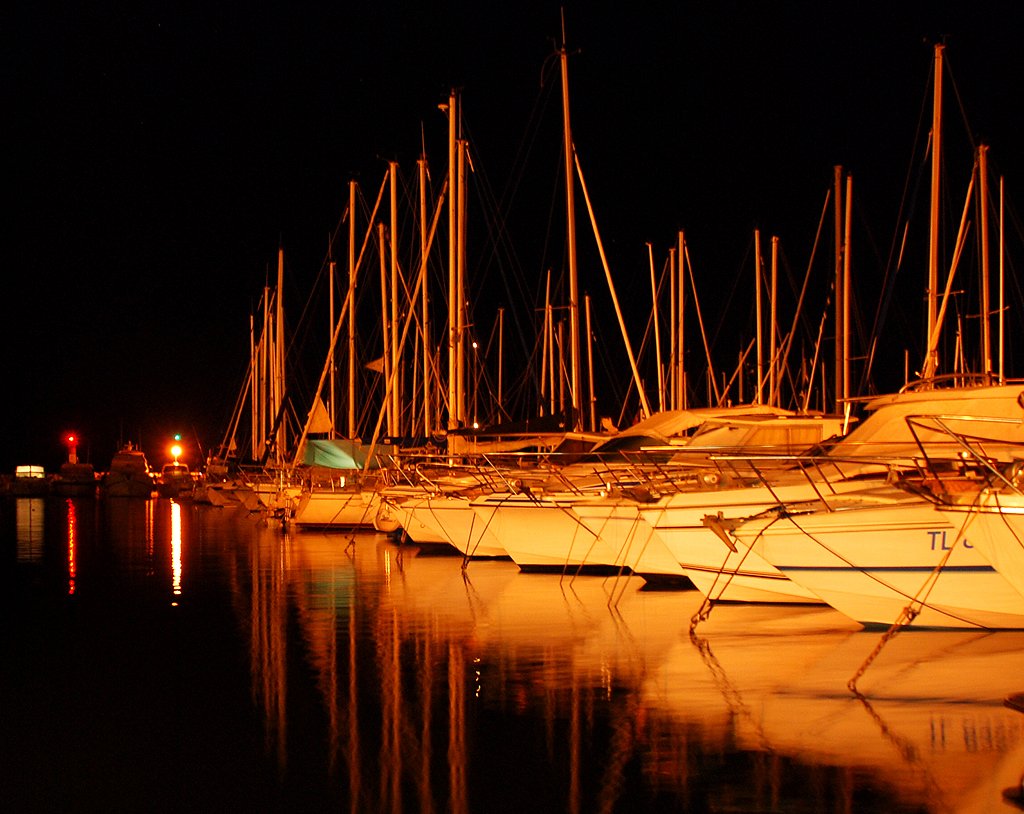 many sailboats are docked in a dark body of water