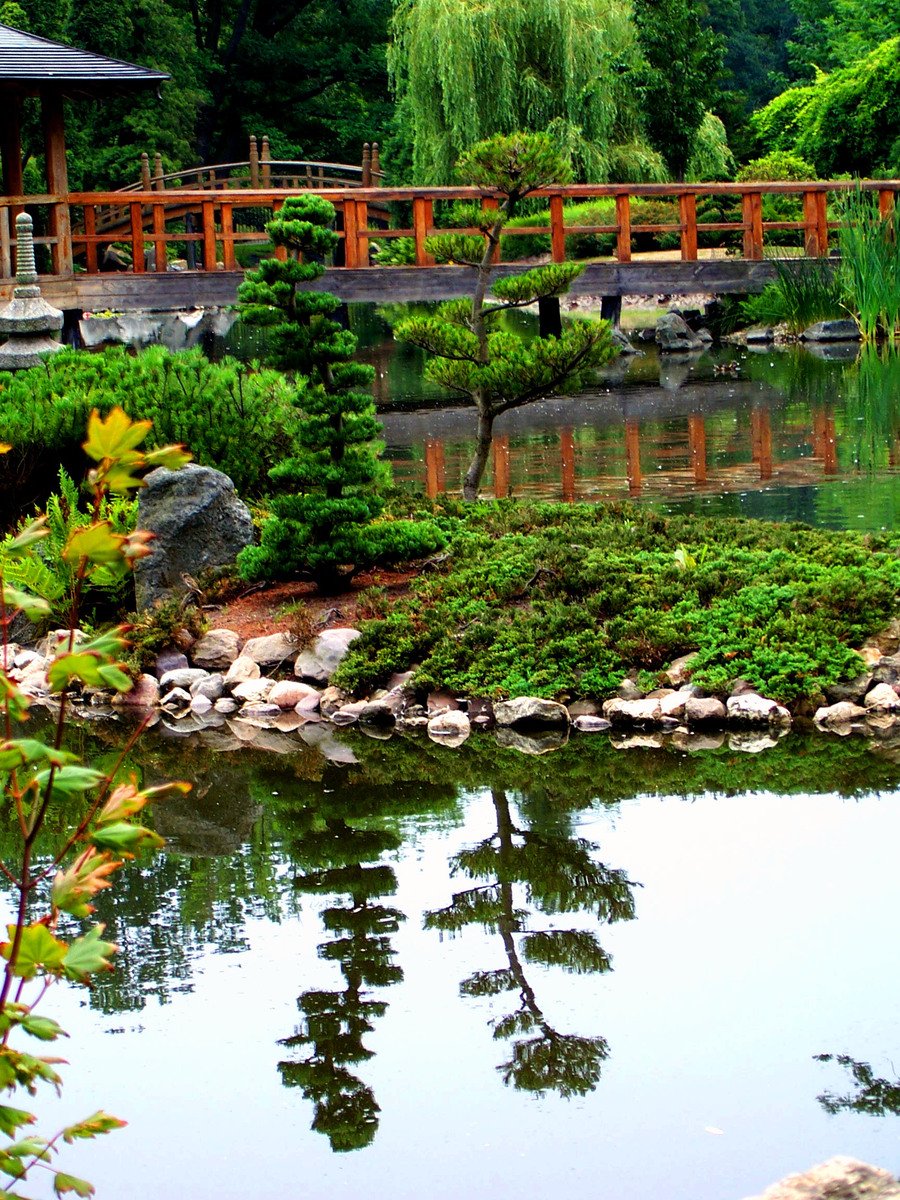 a pond and pavilion in a japanese garden