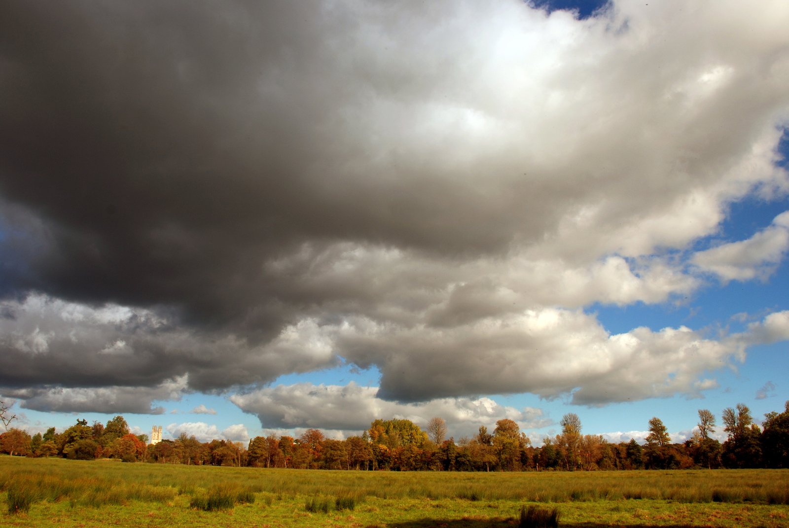 a large field with trees and dark clouds in the sky
