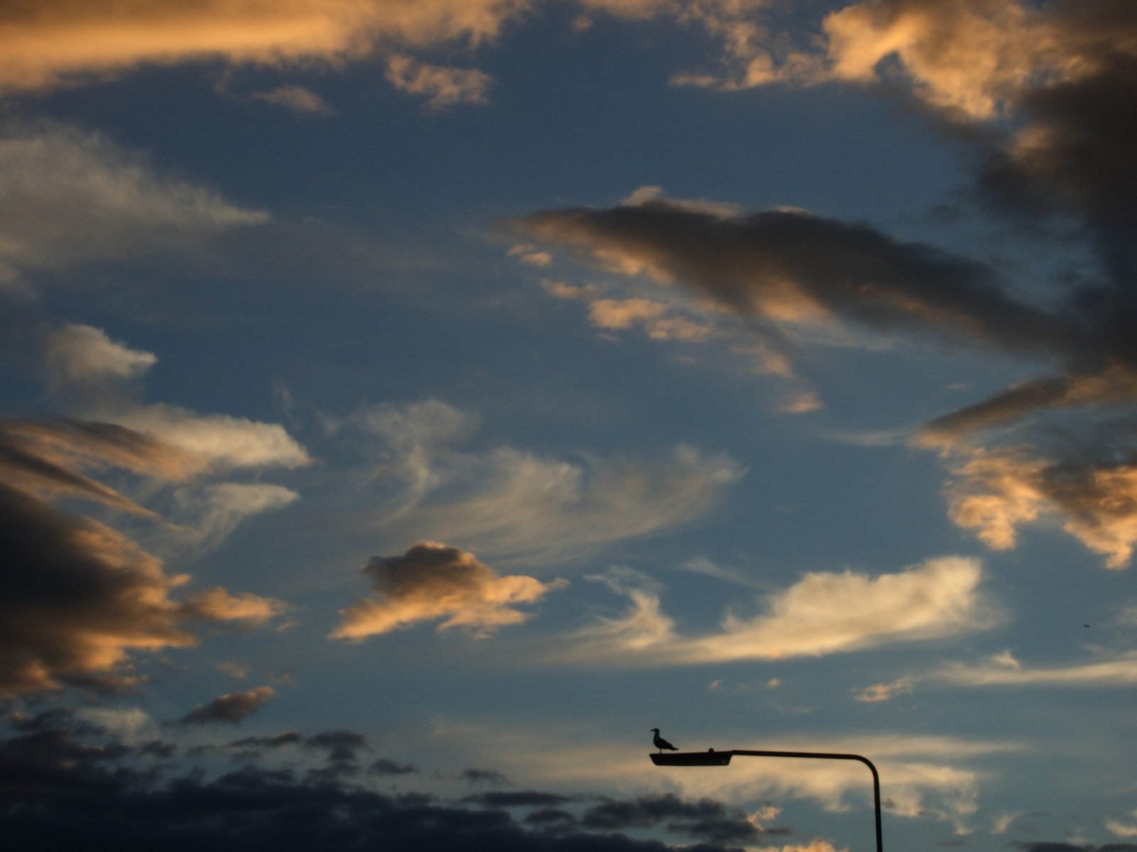 an airplane flies through the clouds while the sun goes down