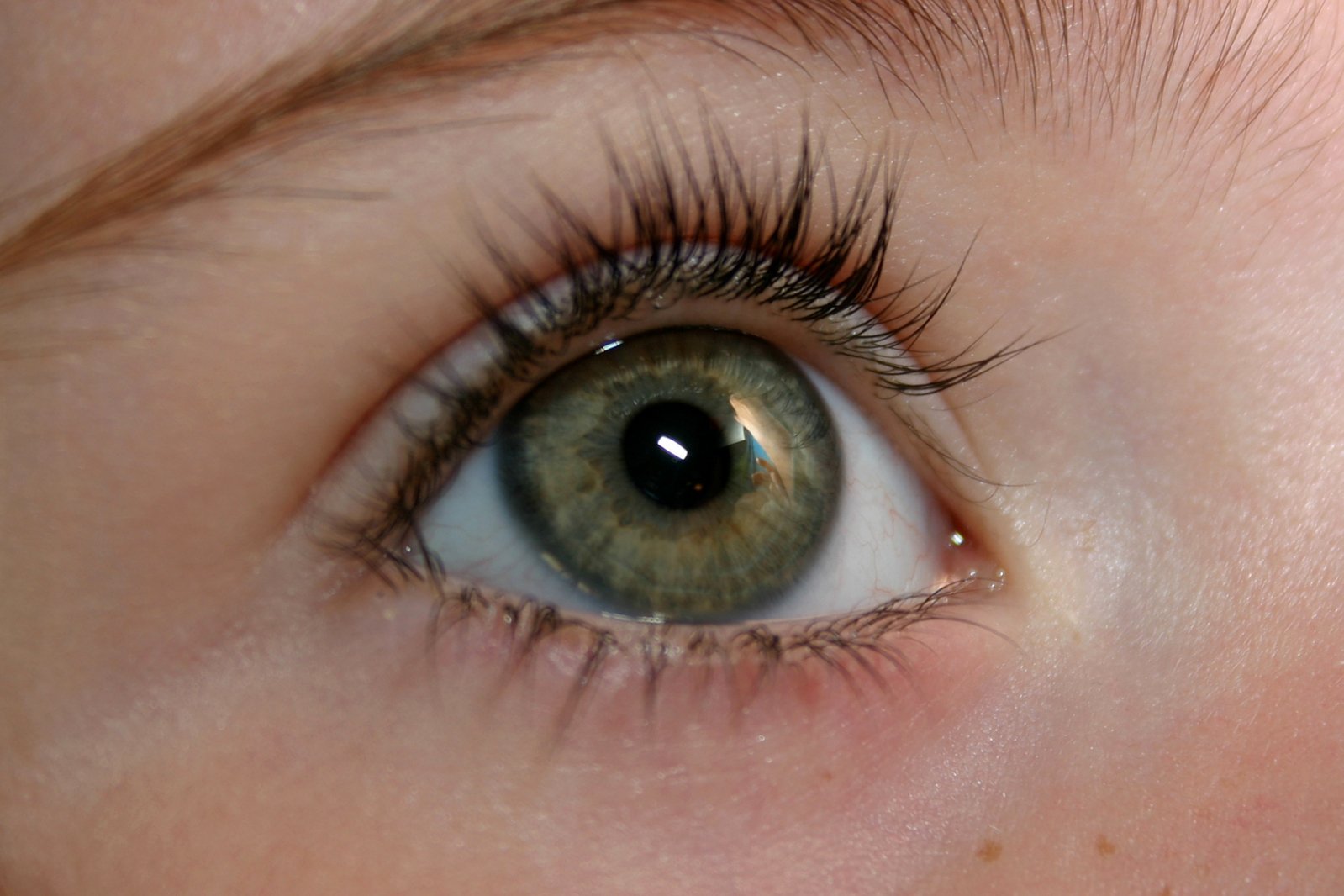 an close up view of a green eye with some light on it
