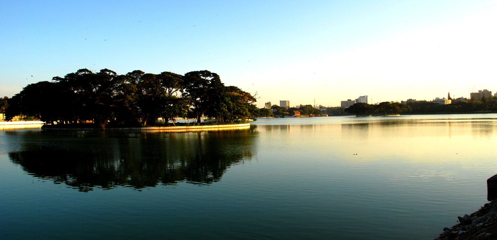 trees in the distance, over a lake at sunset