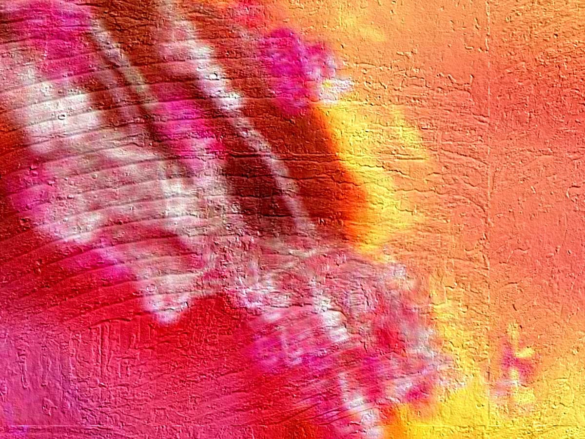 a close up s of a pink and yellow wall