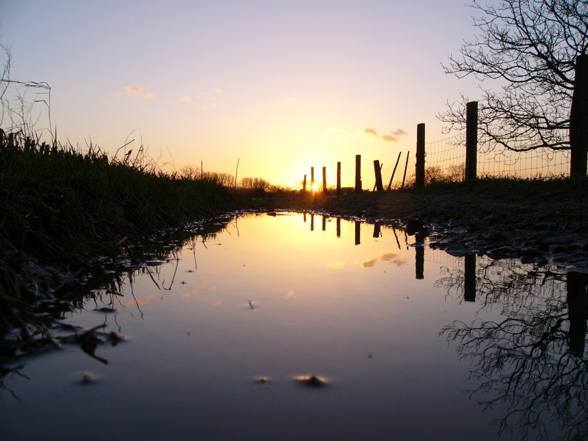 an image of a river at sunset in the country