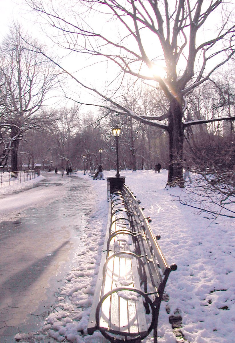 a public park bench sitting in the middle of a snowy field