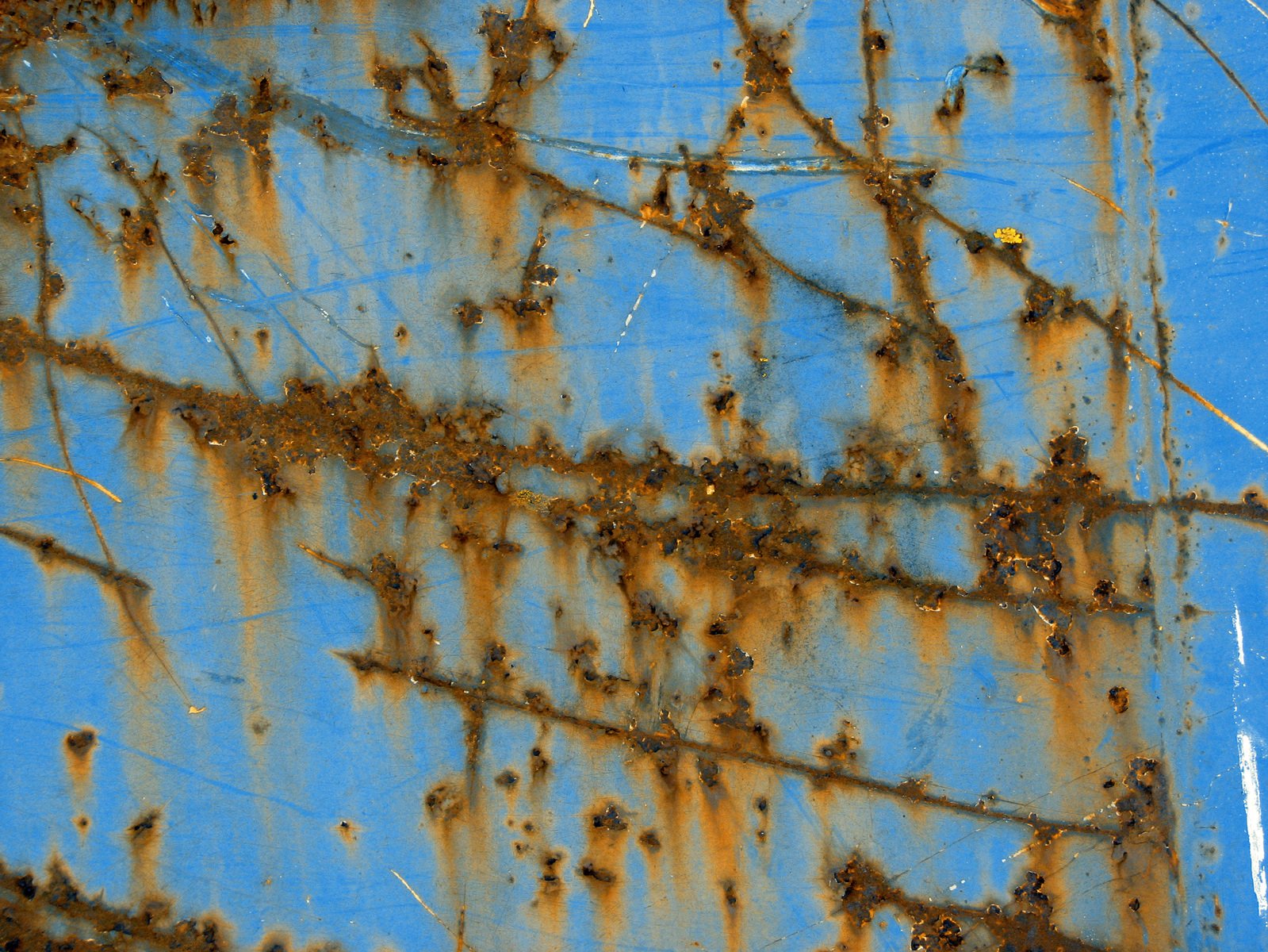 rusty blue surface that looks to have been covered with brown algae