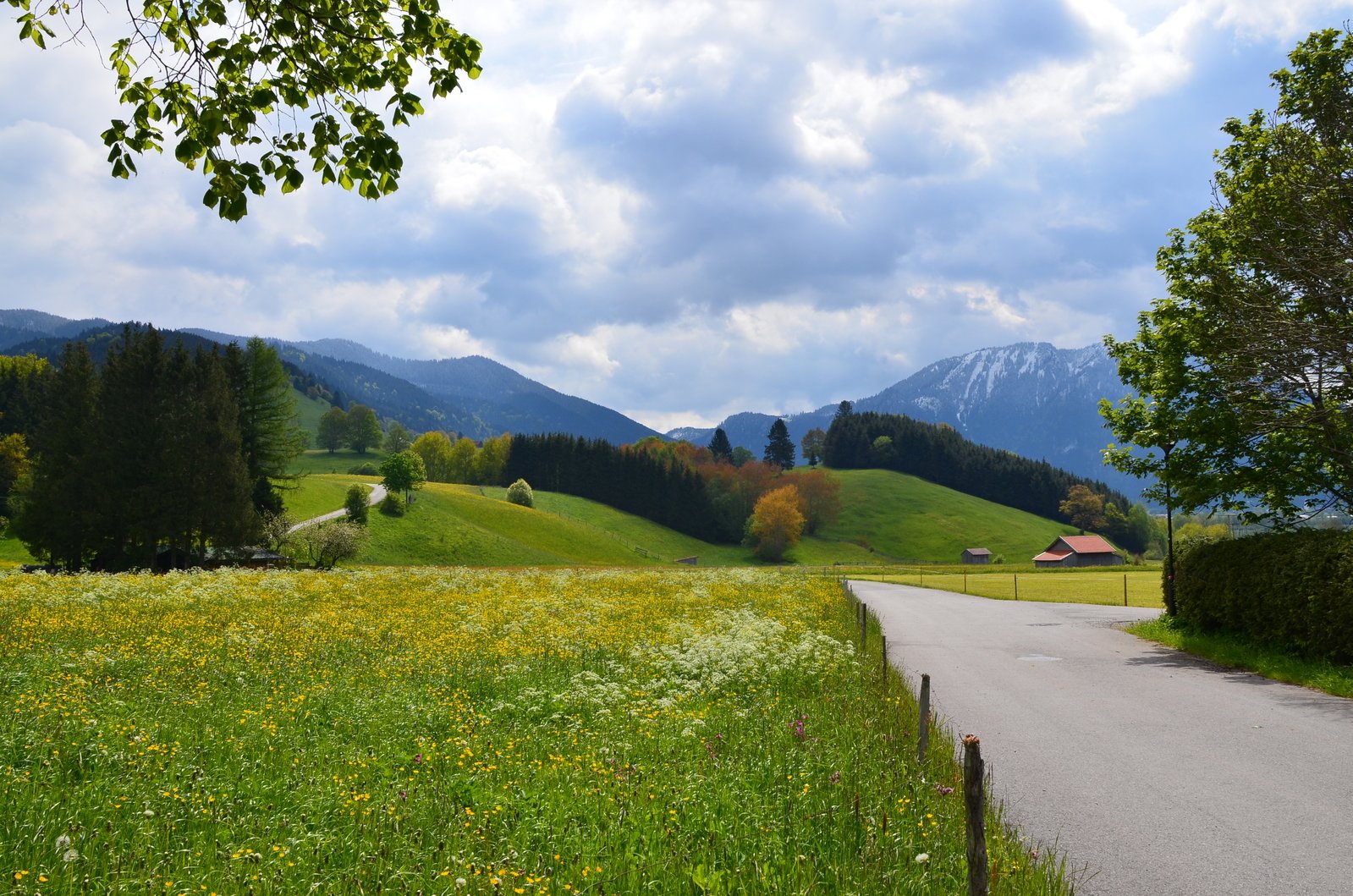 a road in the middle of a green field with mountains behind