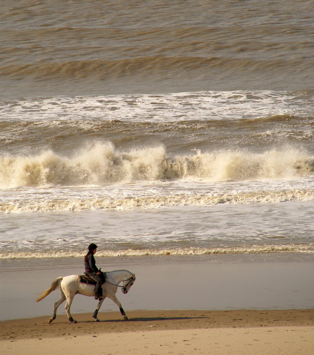 man on horseback riding along beach next to waves