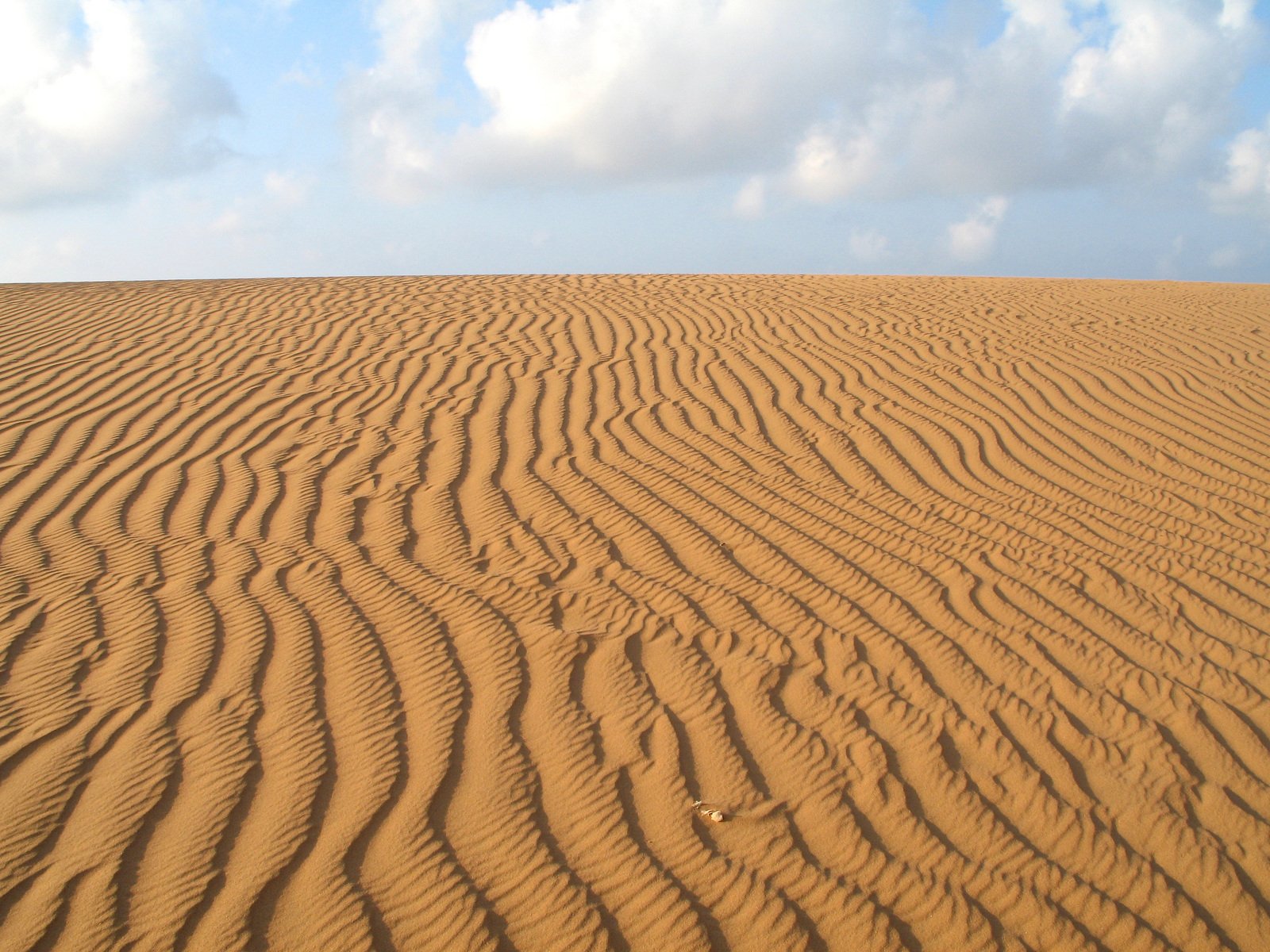 the desert looks very smooth and arid