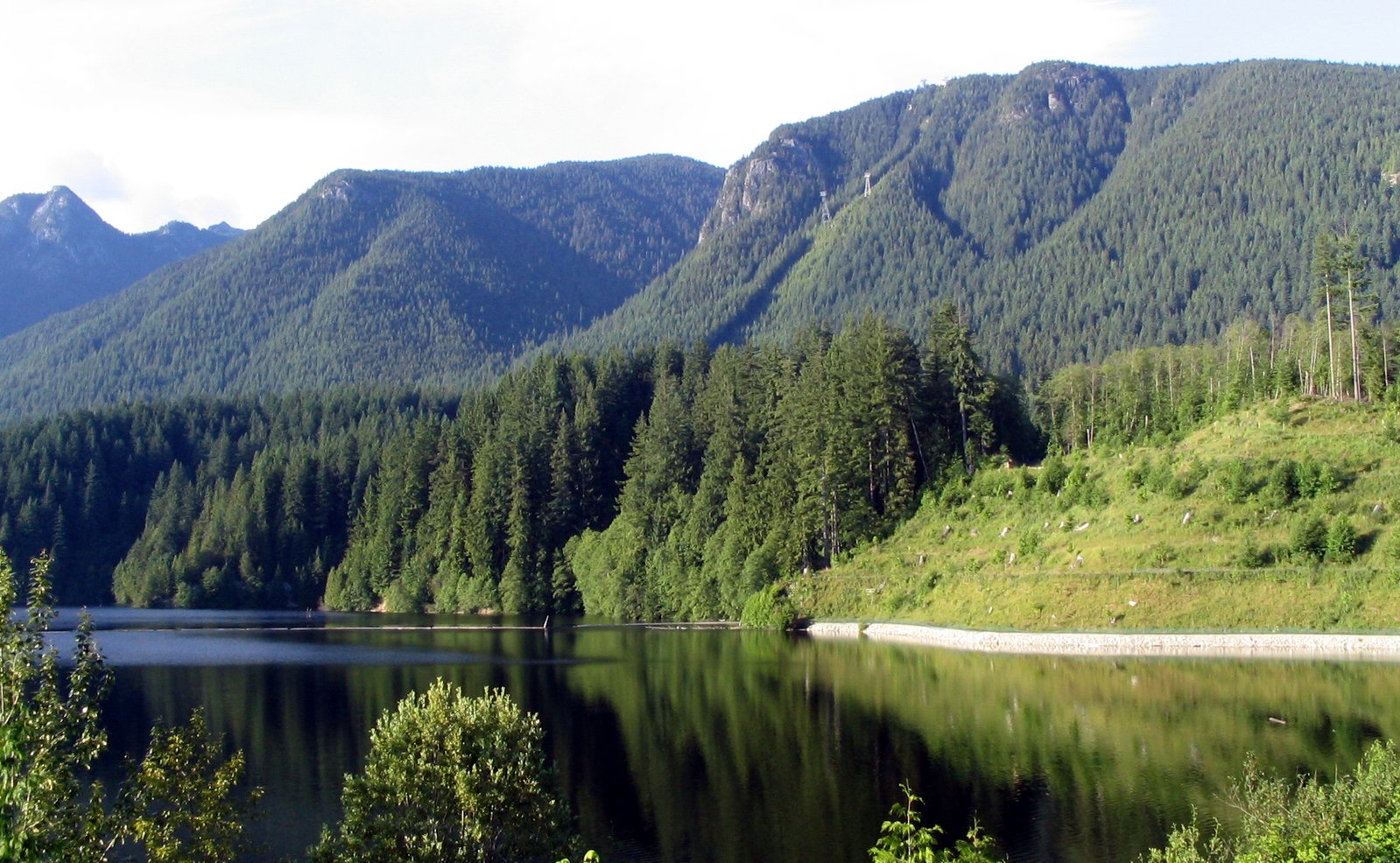 a mountain range with pine trees near a lake