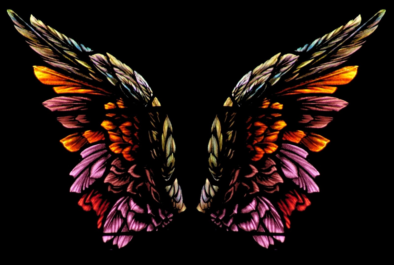 two beautiful multicolored wings are set in the dark
