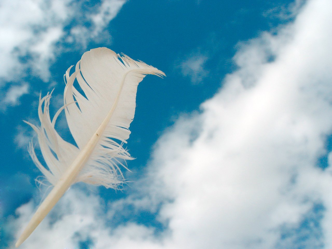 a white feather is flying against a blue sky