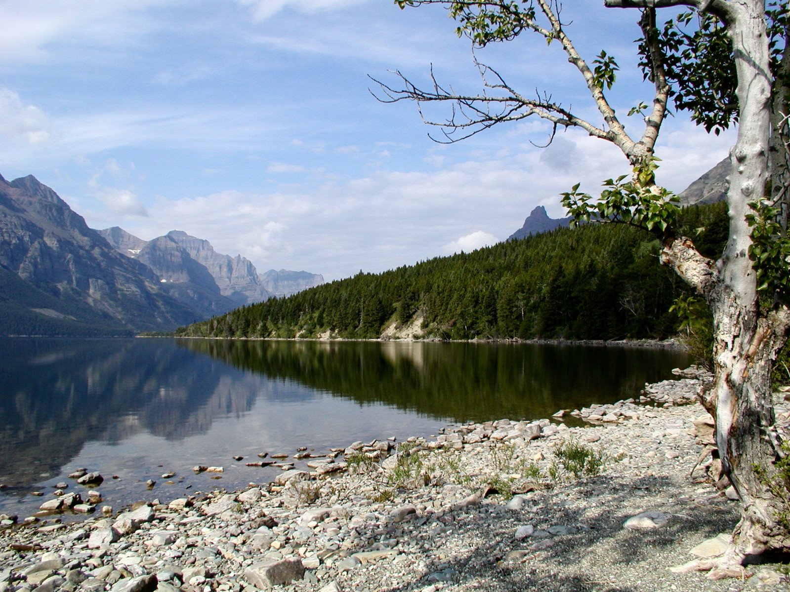 mountains and trees surround the calm water at a lake