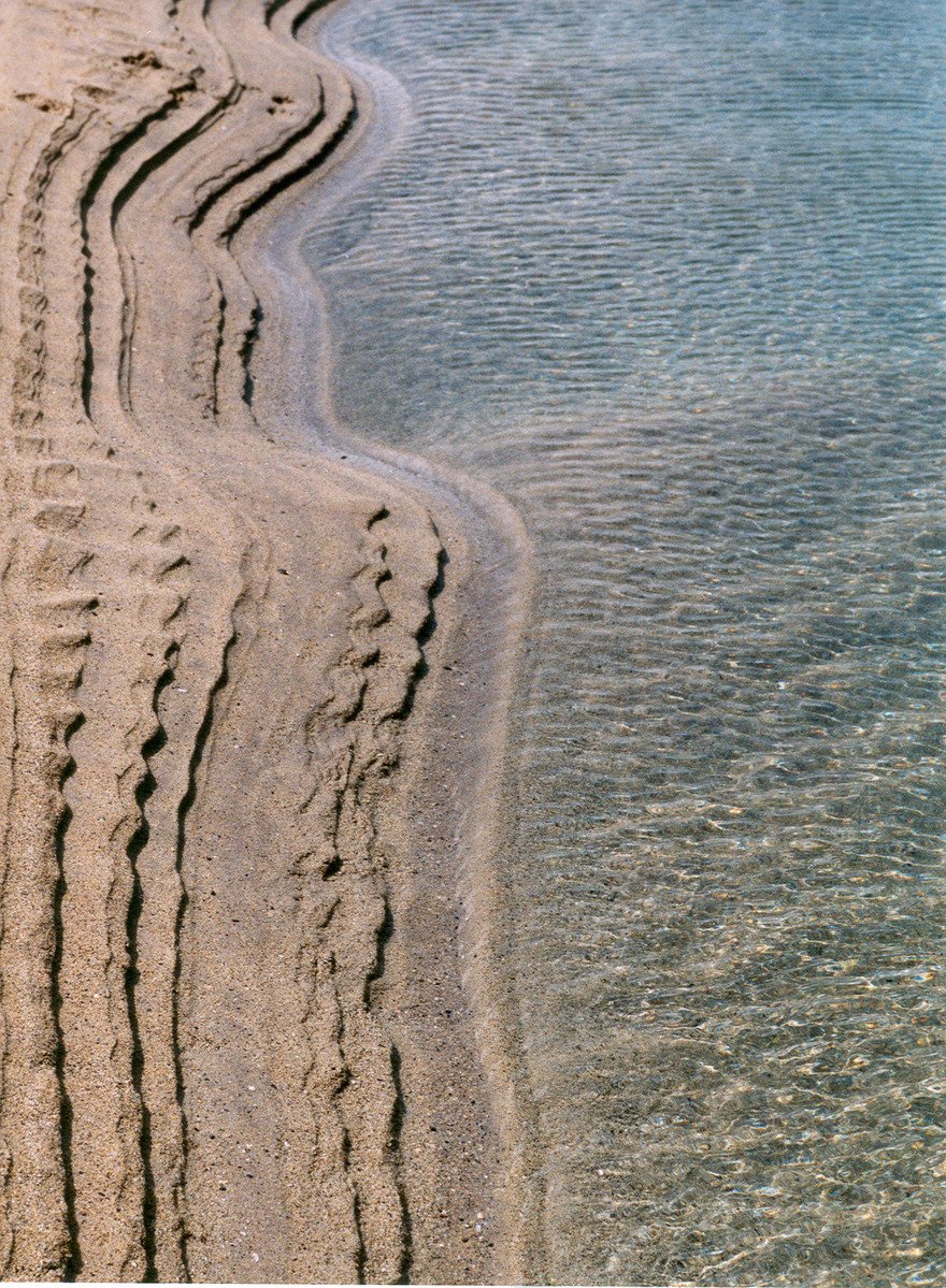 footprints of people and cars are in the sand