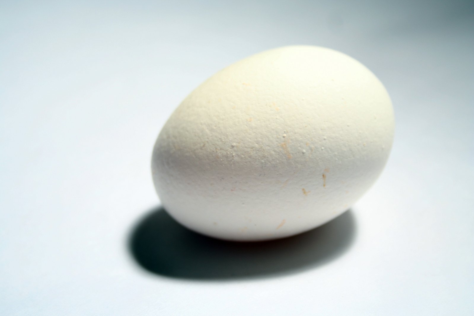an egg on a table with a shadow from the top