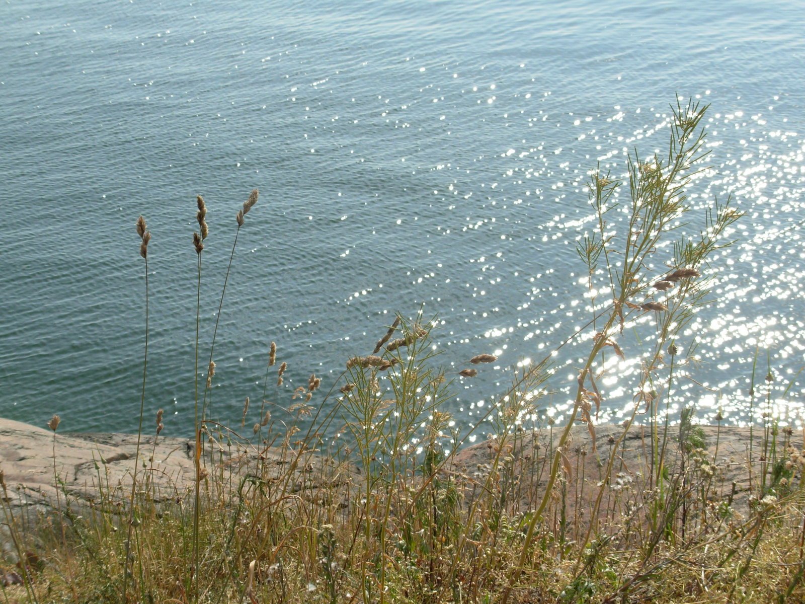 a view of the water from a cliff