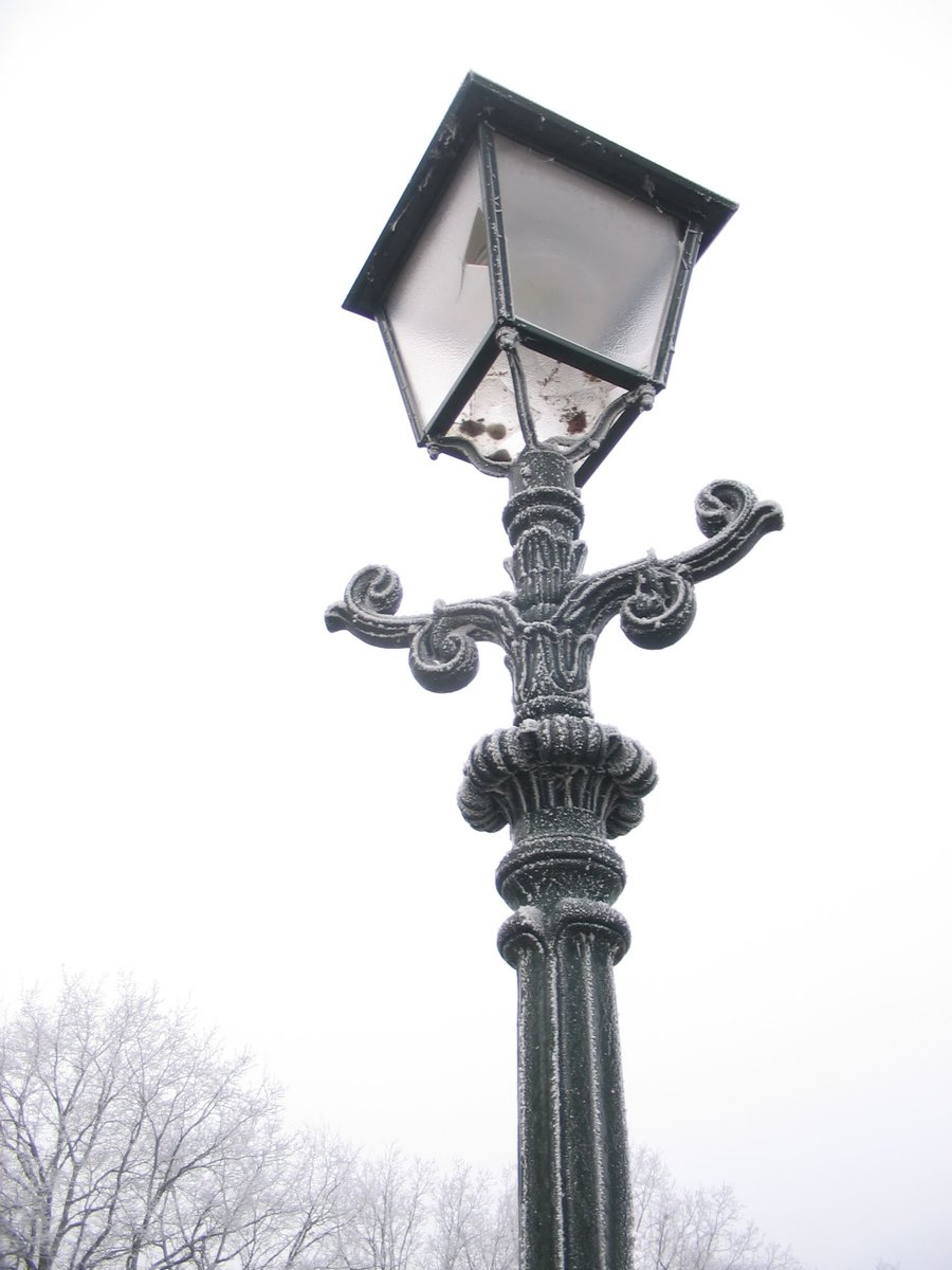 the lamp is on in the park and has an ornate design