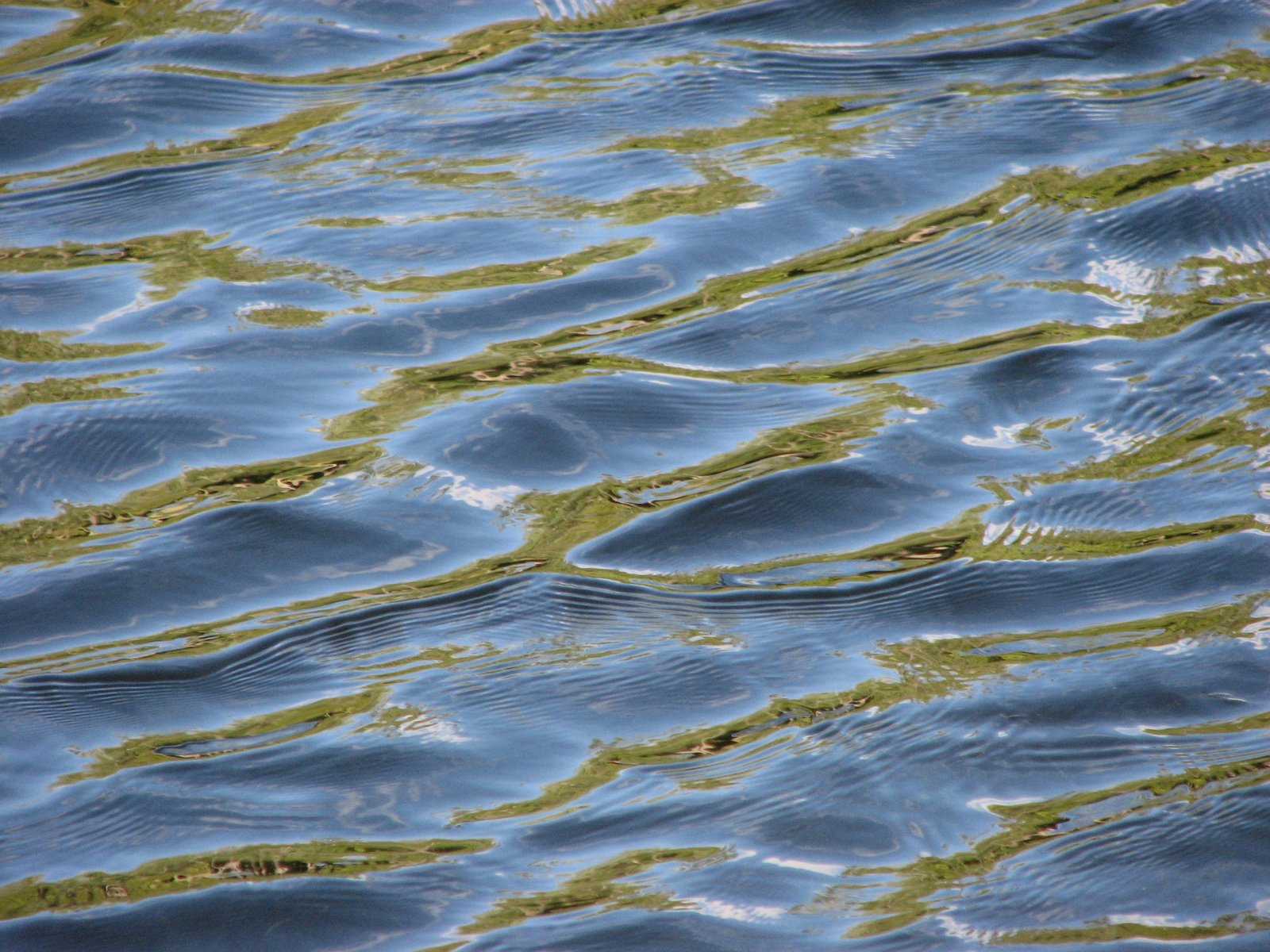 an up close image of water ripples in the sun