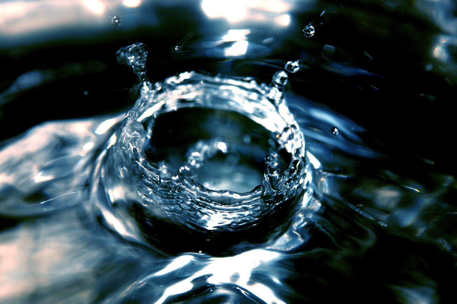 a small, circular drop of water is floating down