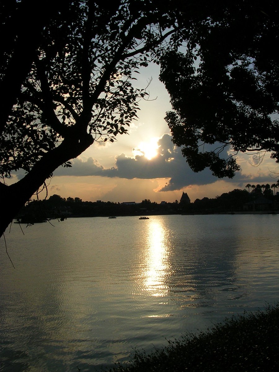 a lake surrounded by trees in the evening