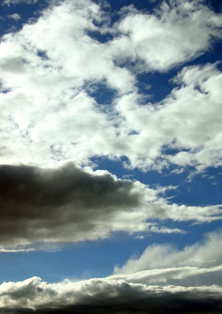 the view is from the ground looking up at the clouds