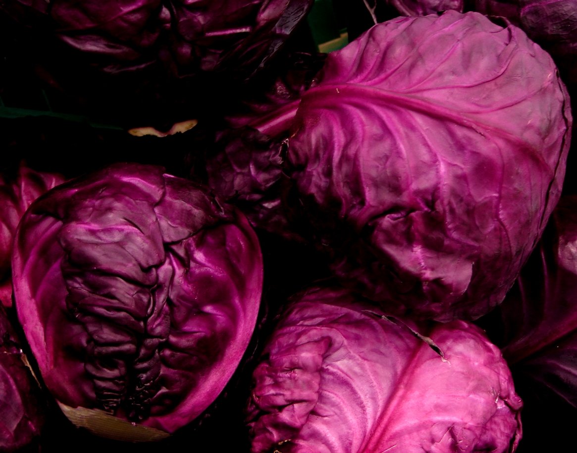 purple lettuce still have some leaves removed