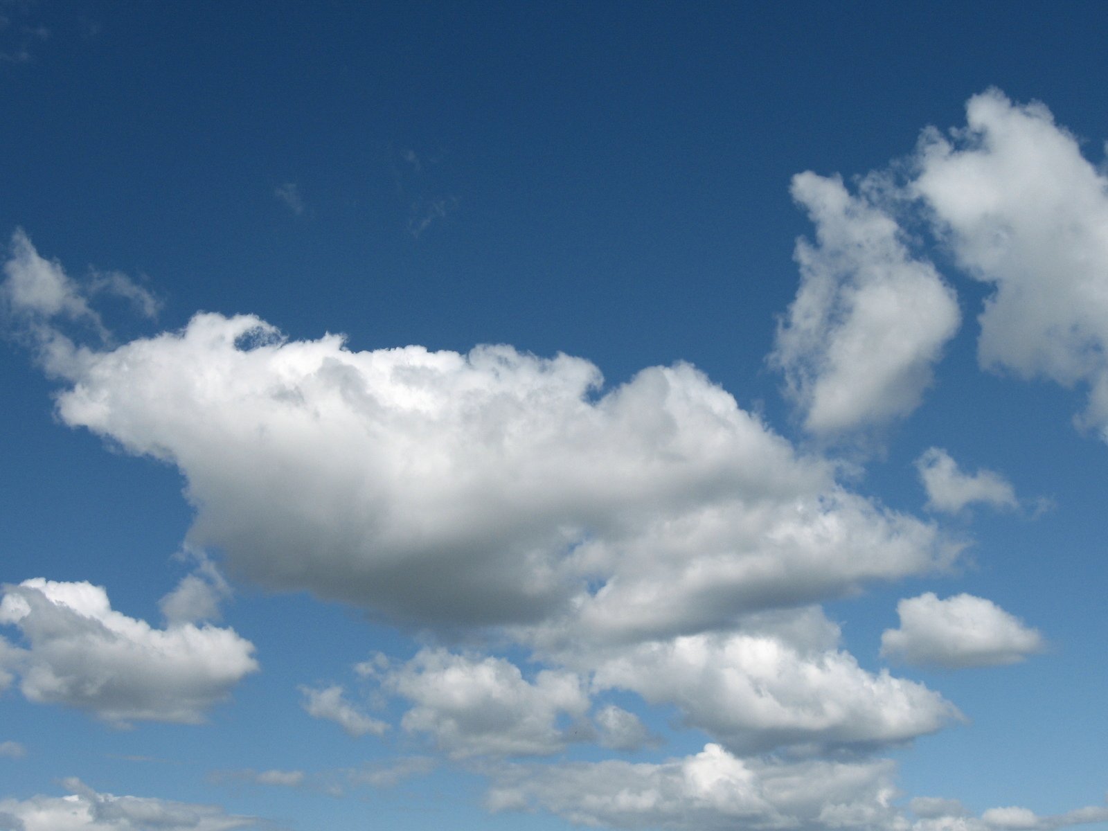 white clouds and blue sky with some trees in the background