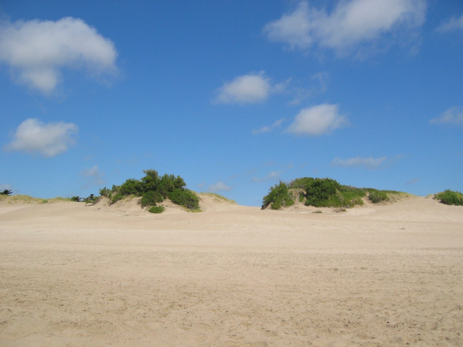the sky and sand dunes are very light tan