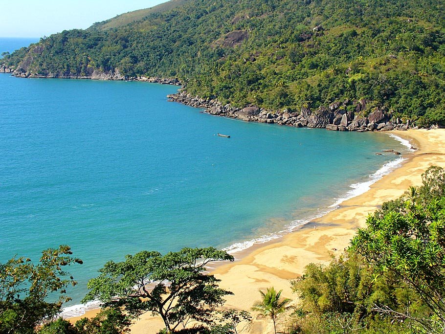 a beach with trees on the shore