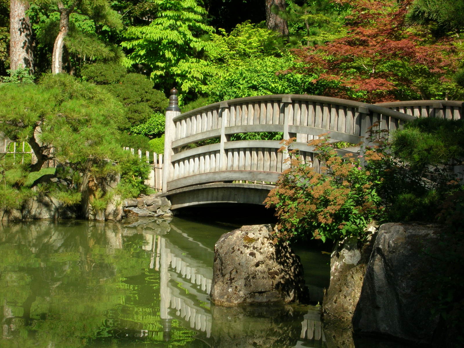 a bridge over water with rocks in the foreground and green trees