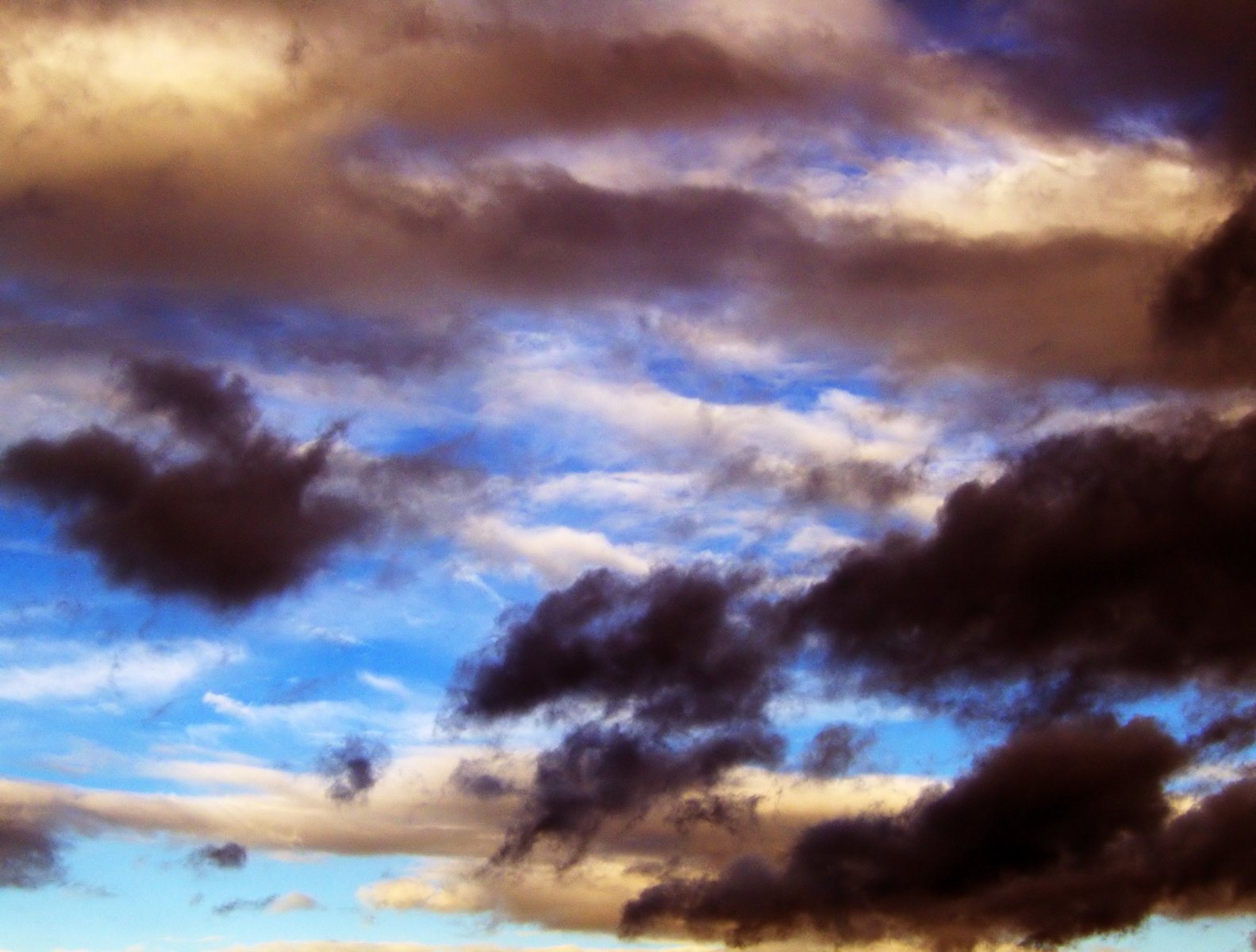 an overcast sky with black clouds is seen here