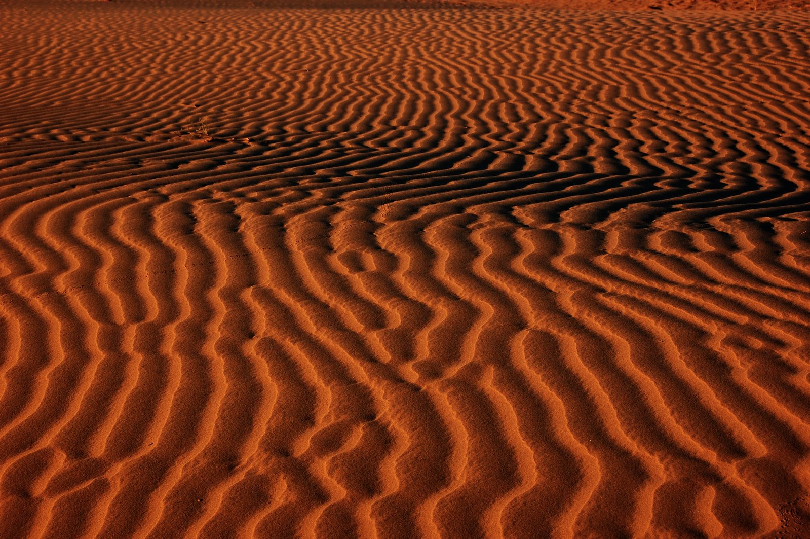 an orange red sand textured by the rising sun