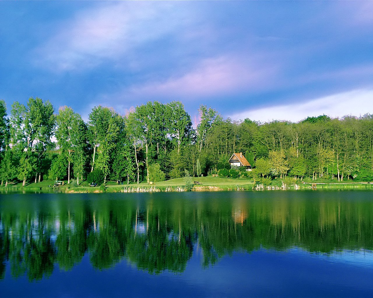 a calm lake surrounded by trees in the countryside