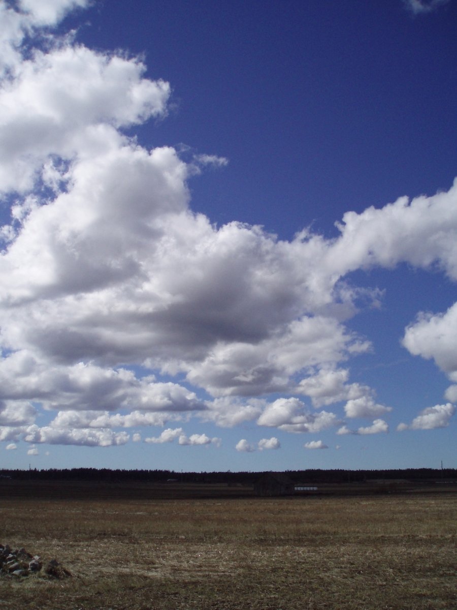 an empty field under a blue sky full of clouds
