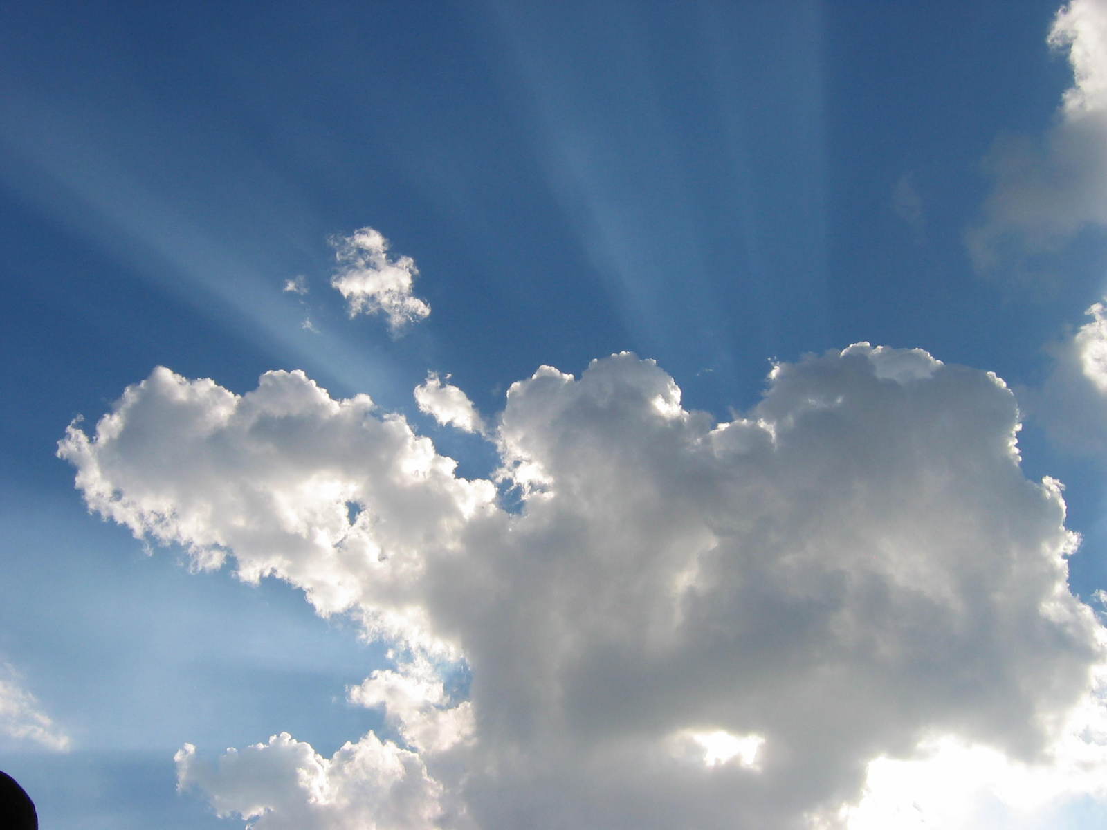 a bird sitting on the top of a large cloud