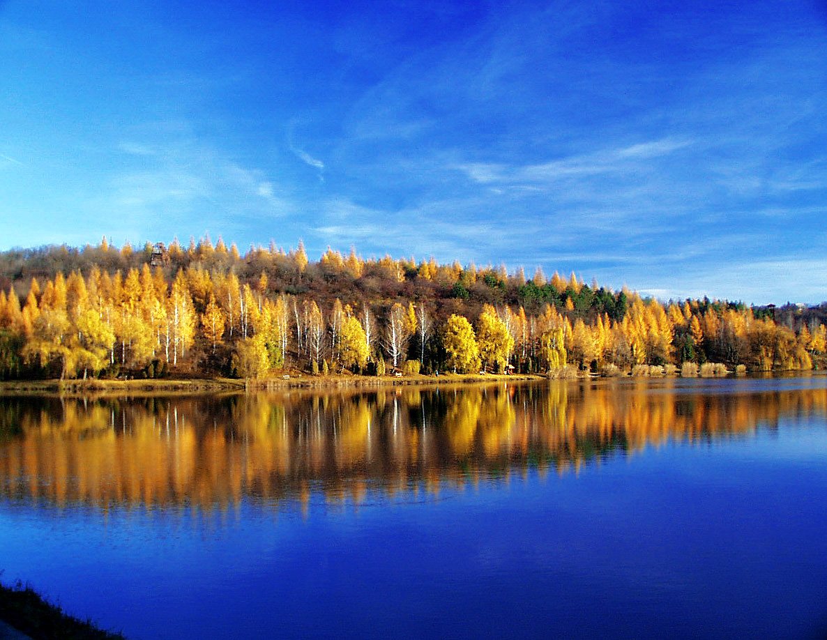 a lake with a forest behind it in autumn