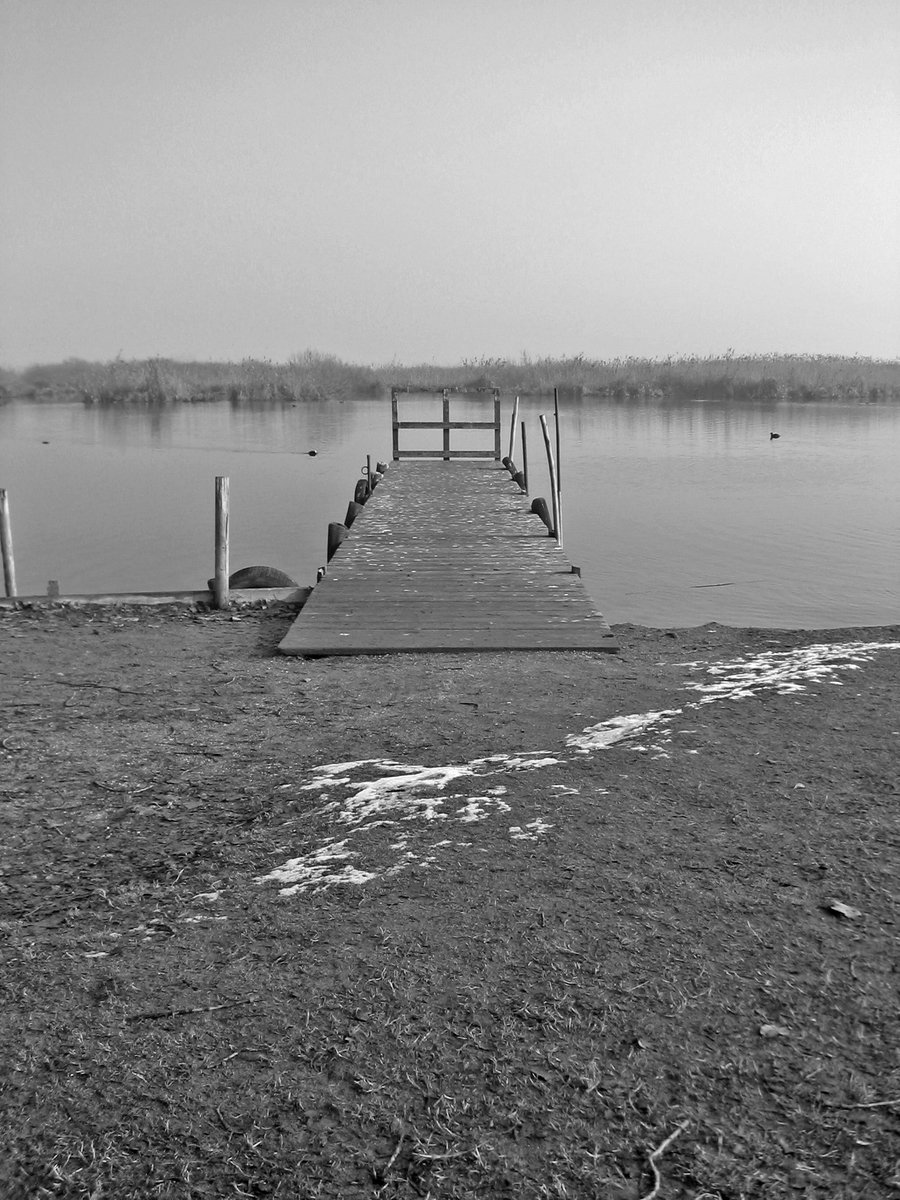 a long dock sits on the edge of a lake