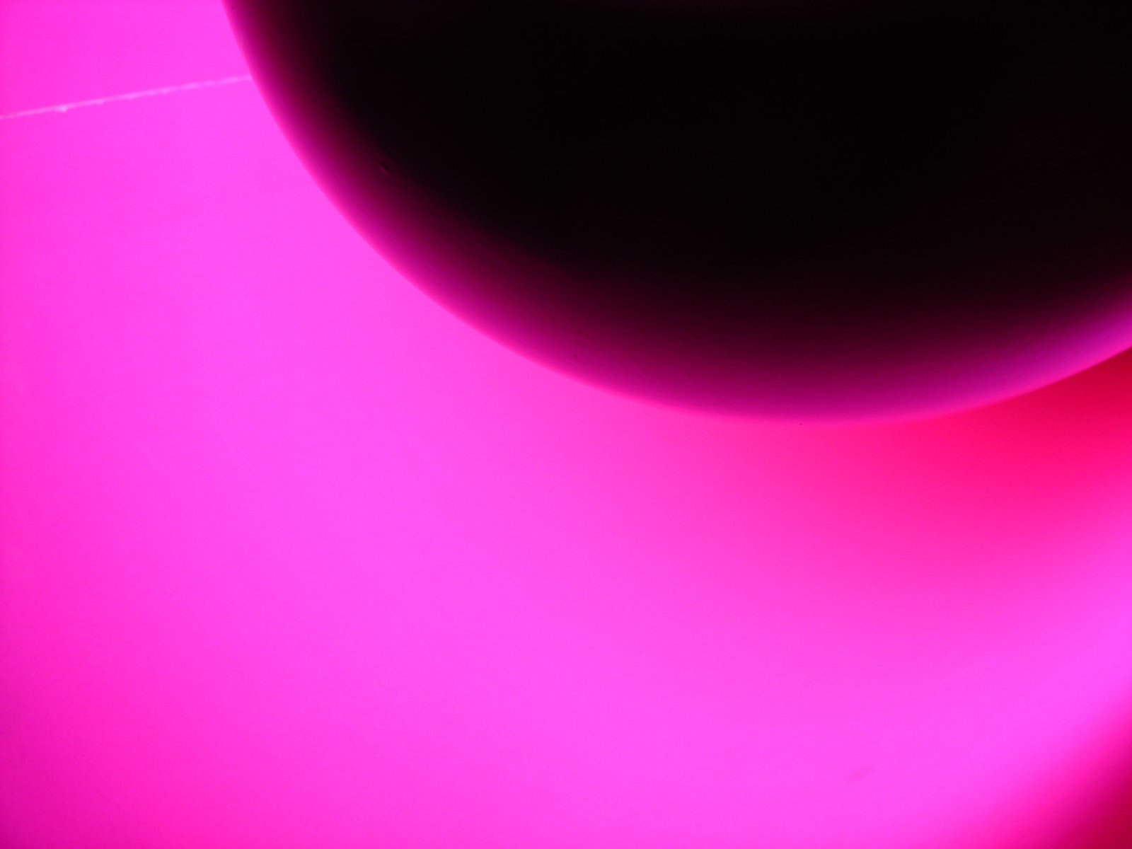 a pink circular object is placed in front of an image