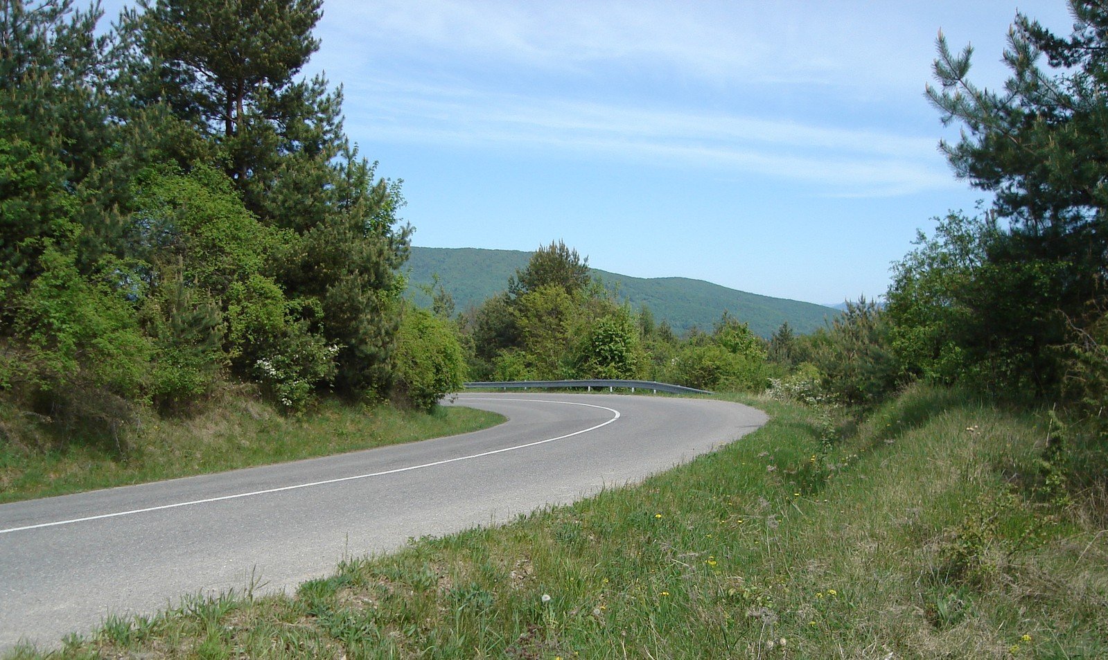 a paved road is near several trees and bushes