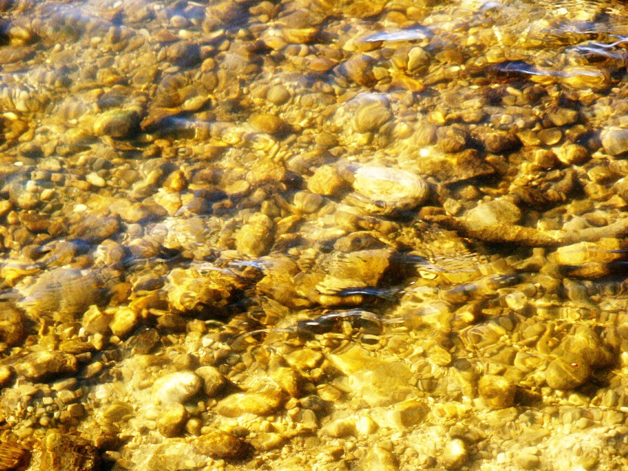 there is a river with lots of rocks in it