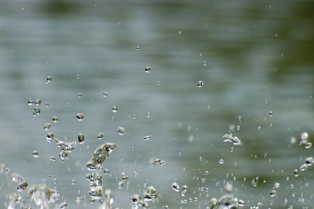 drops of rain hang on the surface of a body of water
