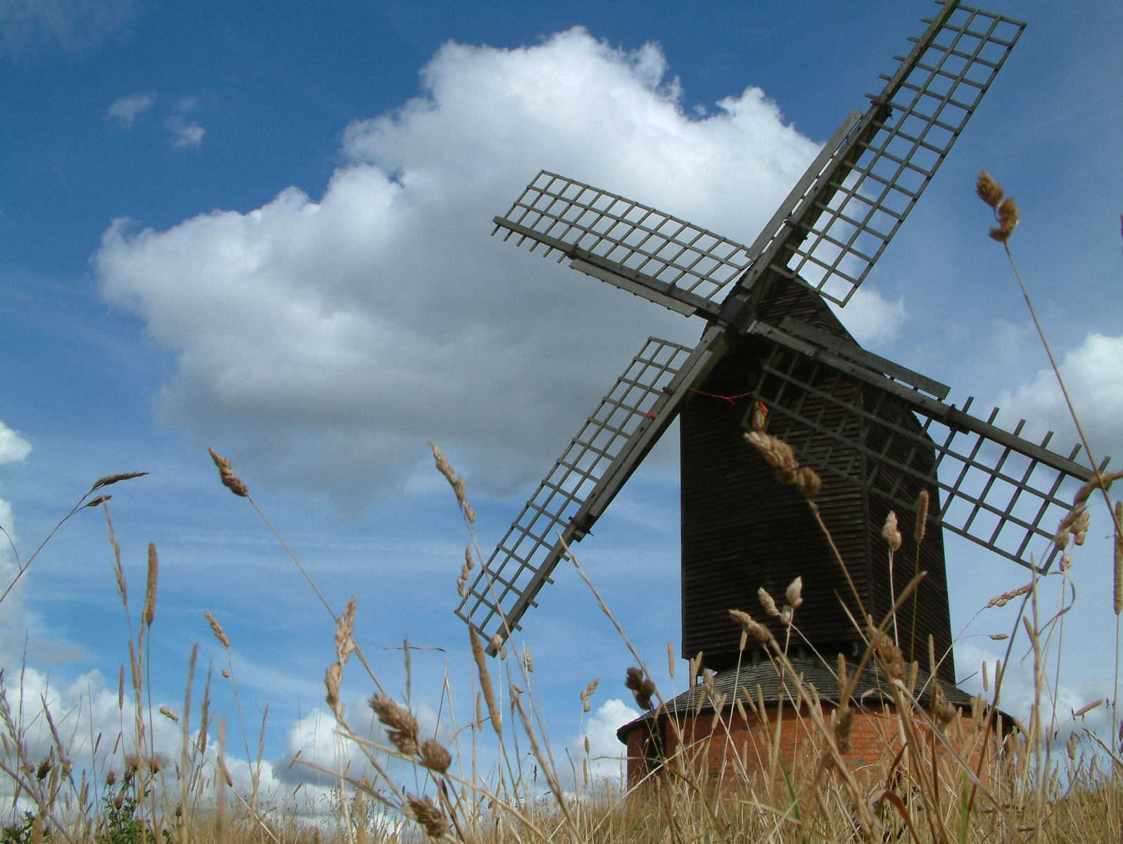 windmill with tall grass surrounding it on sunny day