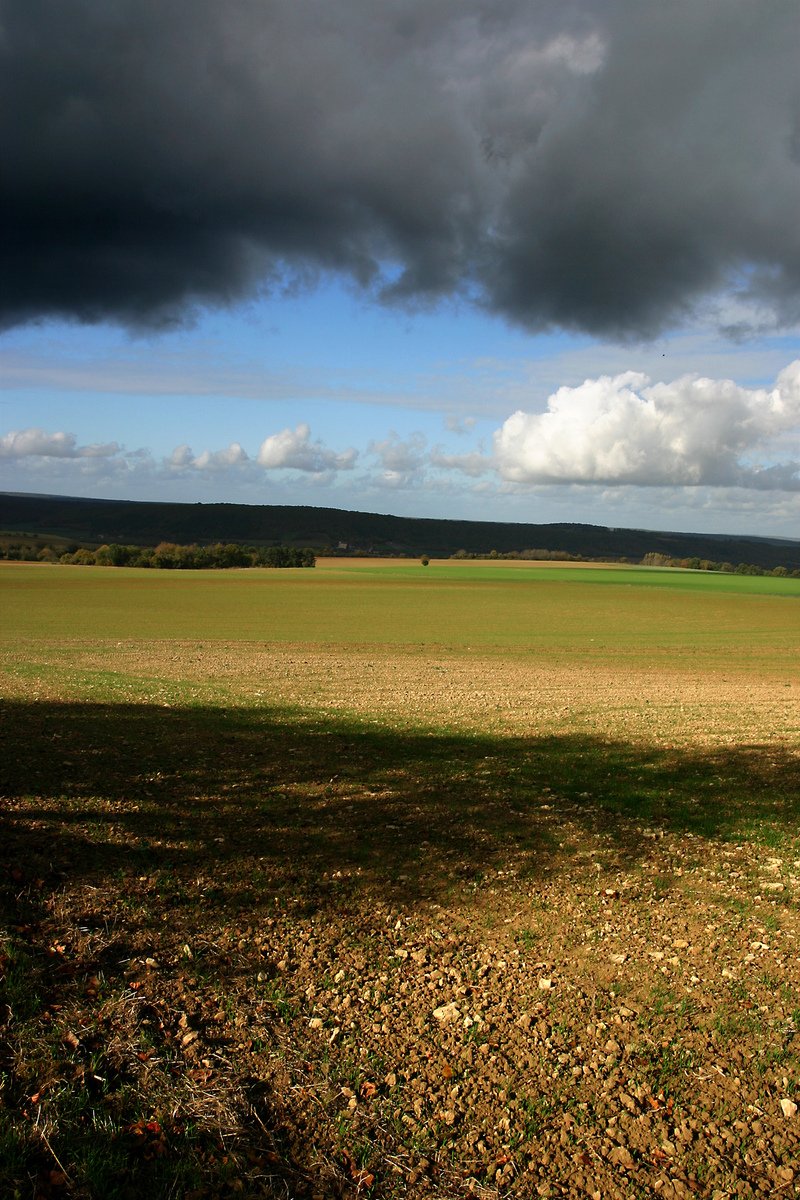 an open grassy field under a cloudy sky