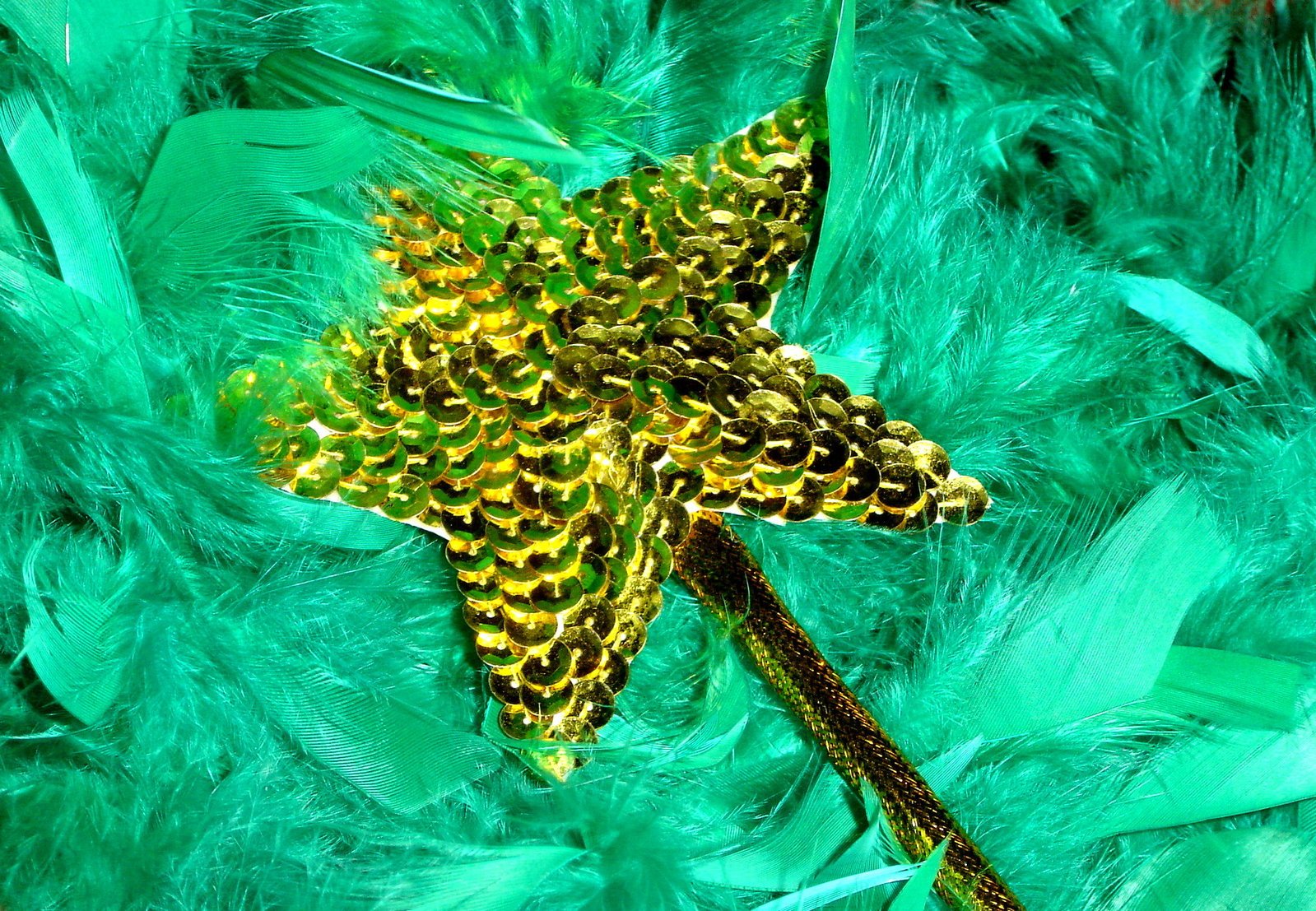 a green starfish in the center of some feathers