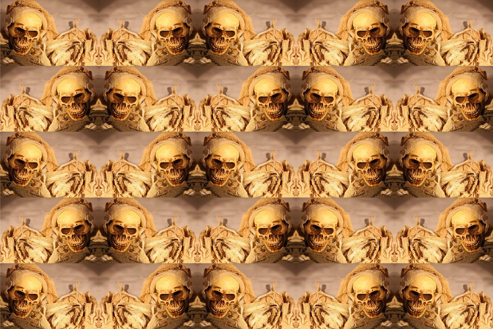 a series of pograph of skulls sitting on a table