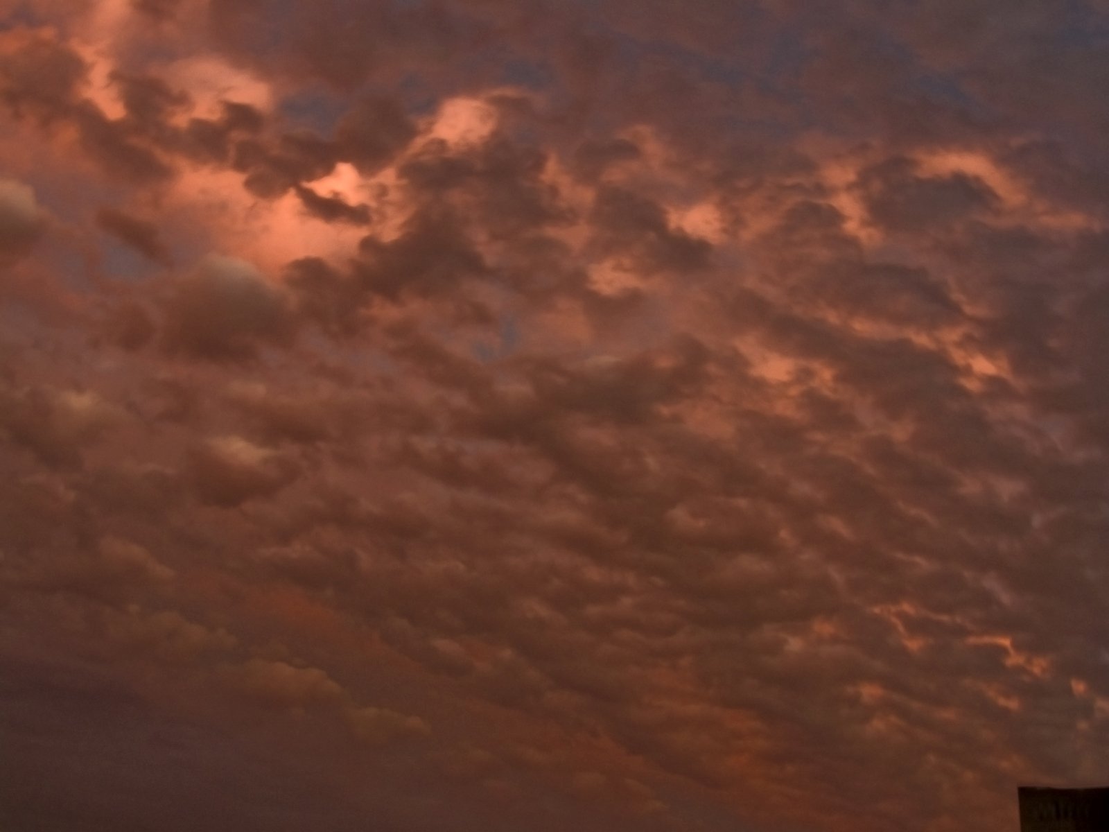 the plane is flying high into the cloudy sky