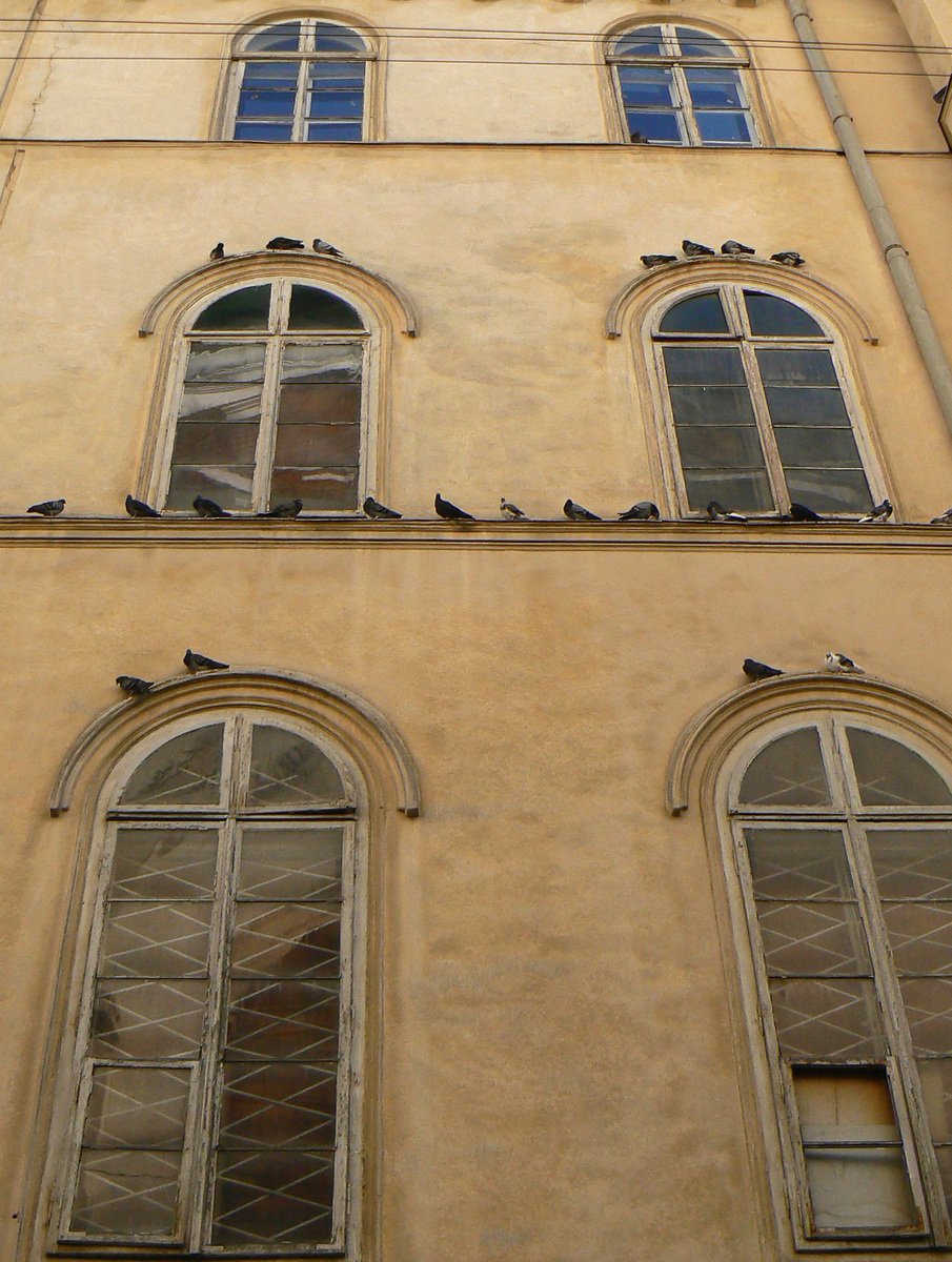 many windows on the wall with birds sitting on them