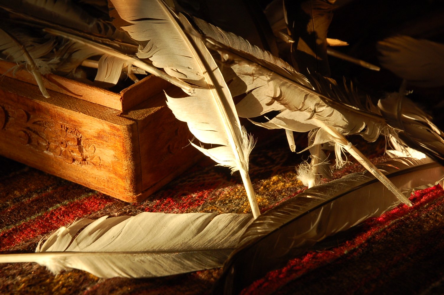 feather quills lie in front of the box