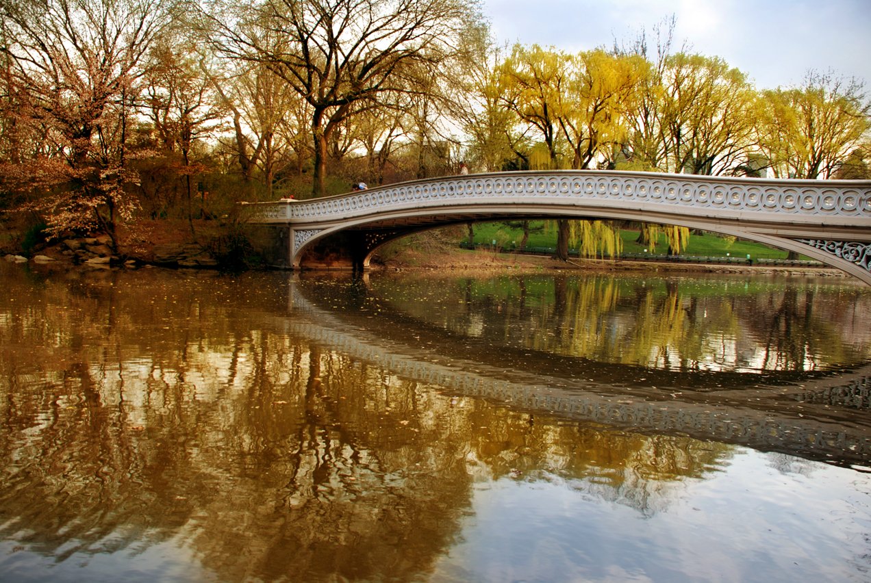 the reflection of a bridge on water has been reflected in it